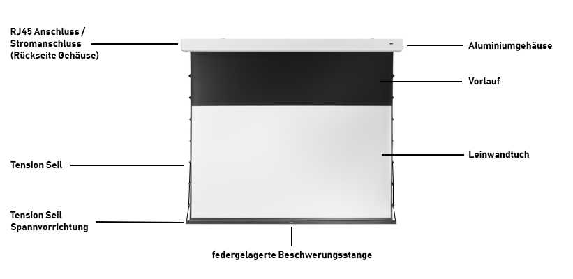 Celexon Greyvision Kontrastleinwand Motorleinwand beamer freund 4